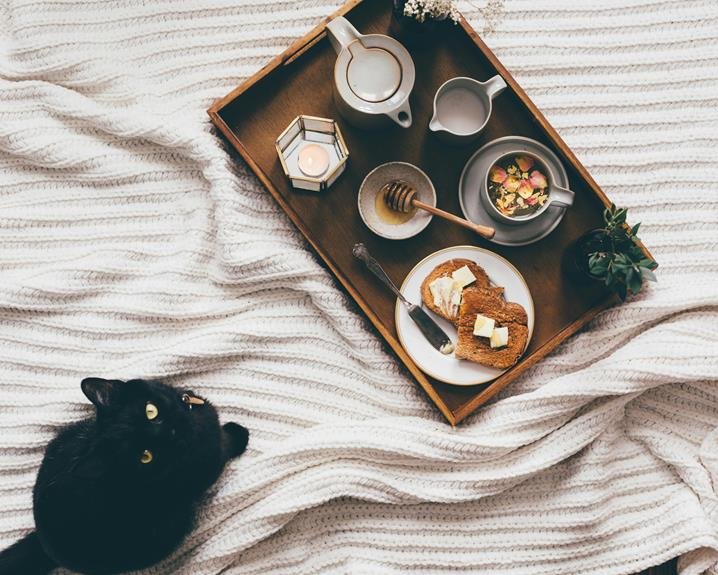 What Foods Should I Avoid Feeding My Cat? 1 cat food safety tips