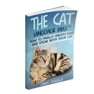cat language bible