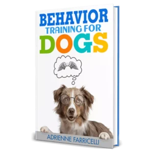 brain training 4 dogs